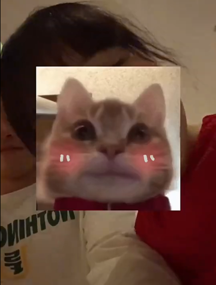 img, 杨瀚森被N, 是太多太不