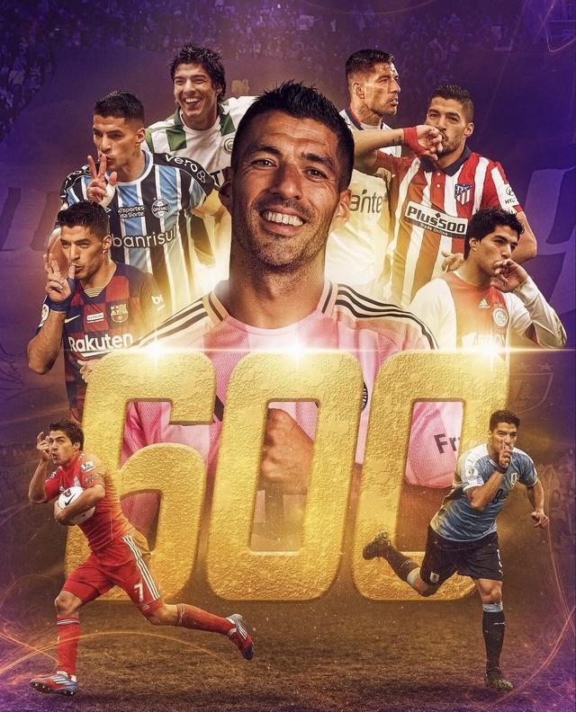 他目前已经 他目前已经